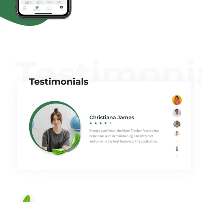 Professional Website Design