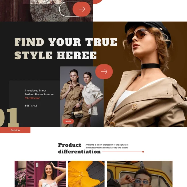 Ecommerce Website